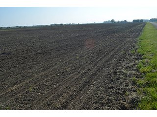 Property photo 78 - LAND AUCTION - 215+/- ACRES OFFERED IN 6 TRACTS IN VAN WERT COUNTY, OHIO